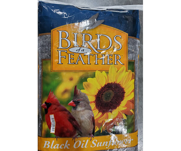 Birds Of A Feather Sunflower Seeds 20lb
